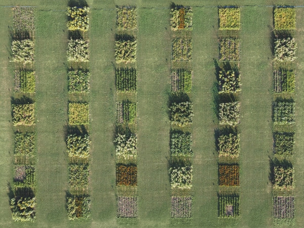 Qu’est-ce que l’agriculture biologique régénératrice ? Décryptage des principes de l’agriculture biologique régénératrice