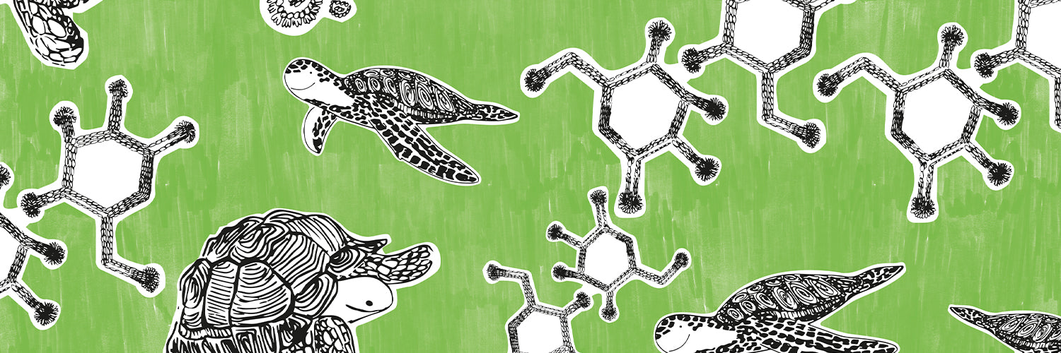 NATURALTECH|NATURALTECH Renewing