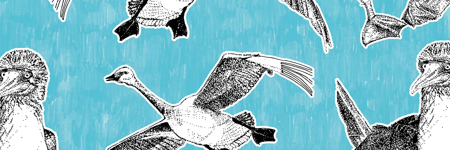 NATURALTECH|NATURALTECH Wellbeing