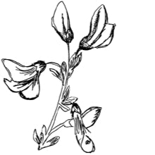 //fr.davines.com/cdn/shop/t/27/assets/davines-line-finest-pigment-deco-1.jpg?v=31471944834081645081643729505