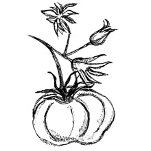 //fr.davines.com/cdn/shop/t/27/assets/davines-line-finest-pigment-deco-2.jpg?v=79889010406983862501643729506