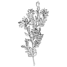 //fr.davines.com/cdn/shop/t/27/assets/davines-line-finest-pigment-deco-4.jpg?v=26652696539408005481643729507