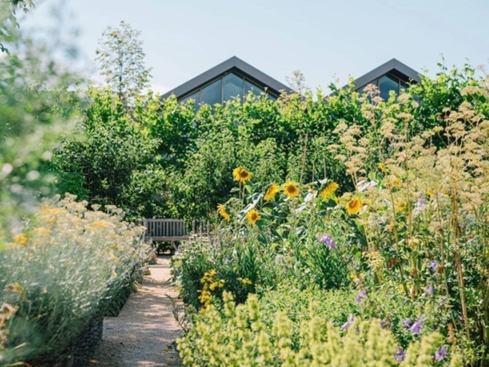 Certification B Corp