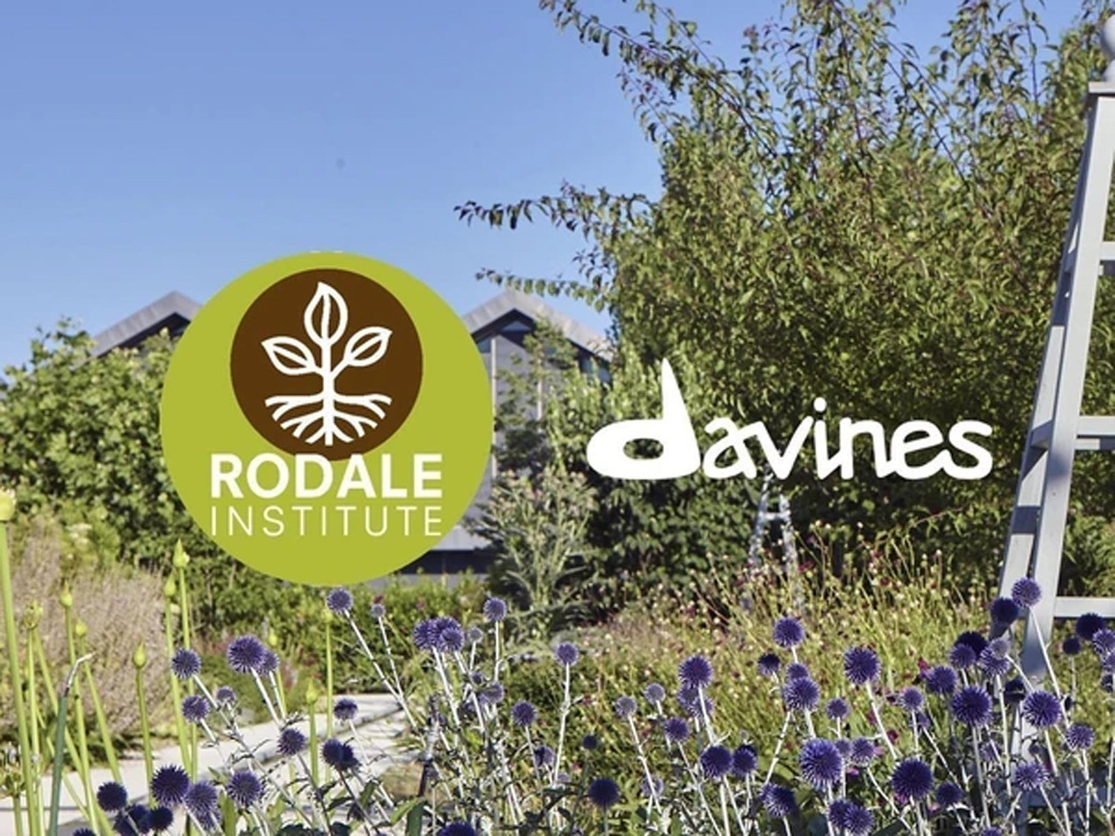 Rodale Institute