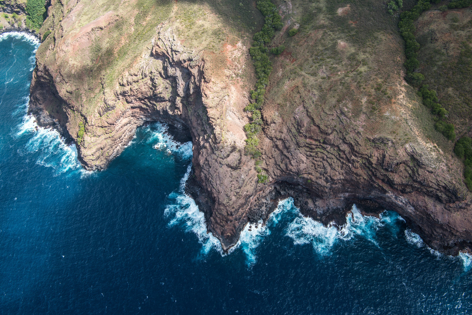 Gardiens des Océans