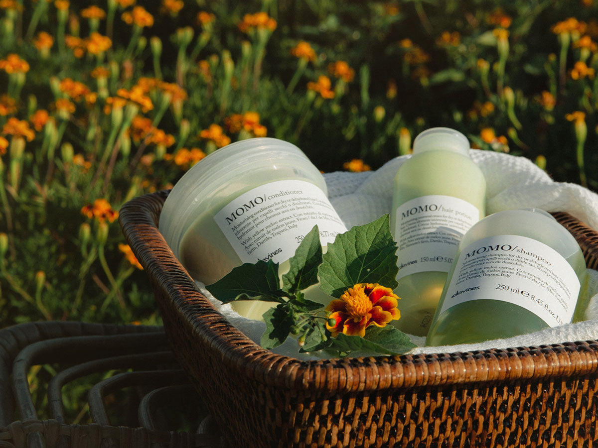 Régénérez la terre grâce à vos soins capillaires