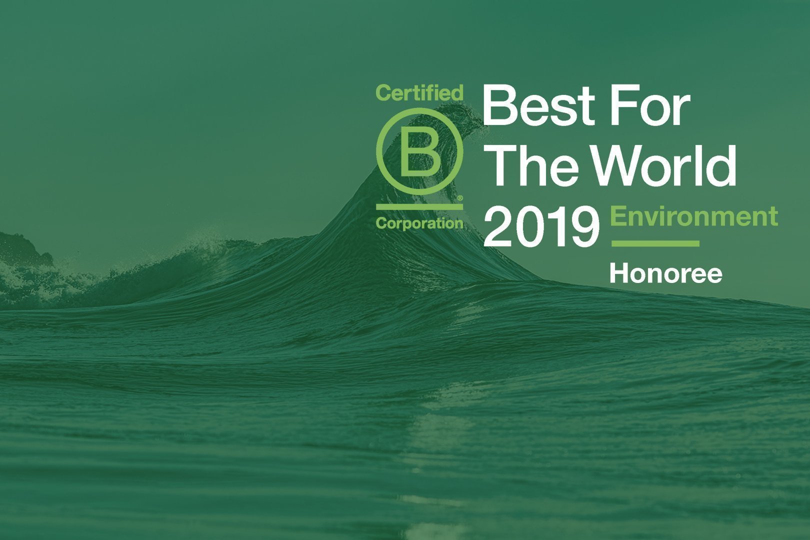B Corp Best of the World
