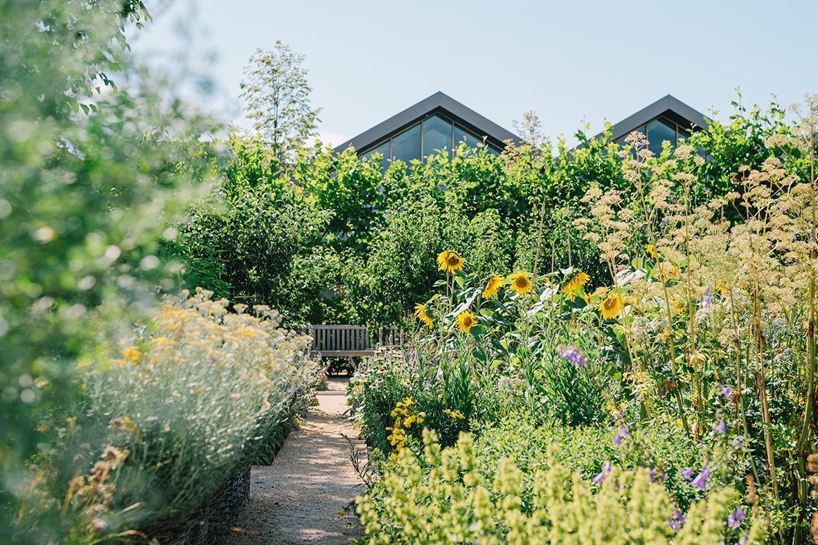 Net Promoter Score Davines