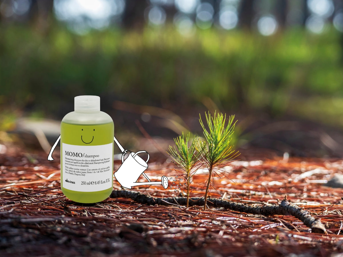 Plantons L'Avenir : notre projet de reforestation en soutien à Up2Green