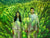 Plantons l'Avenir 2025