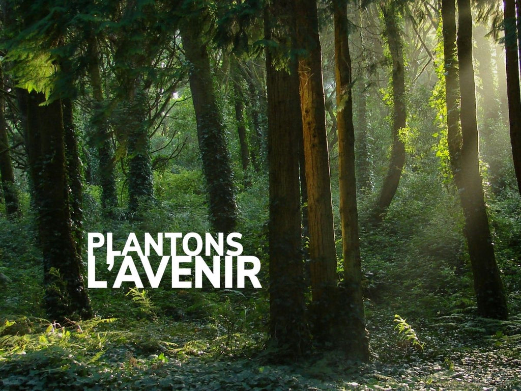Plantons l'Avenir 2026