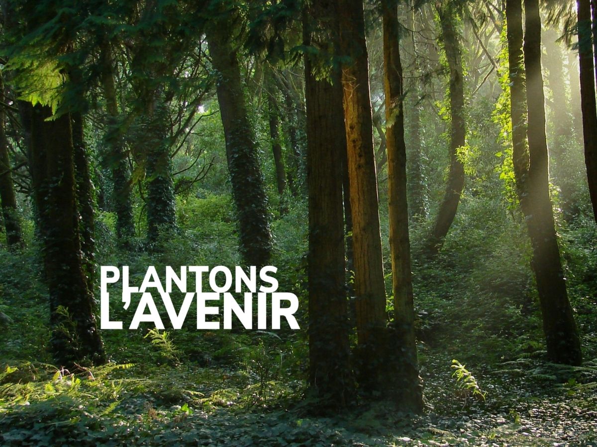 Plantons l'Avenir 2026