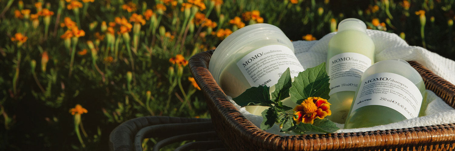 Essentiels du Printemps