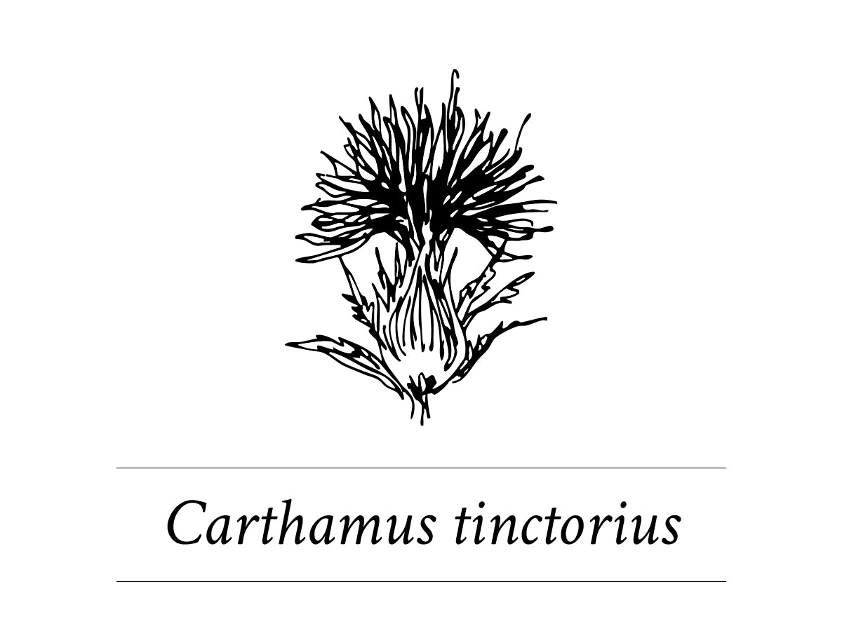 Davines-Authentic-ingredient-Carthamus_tinctorius