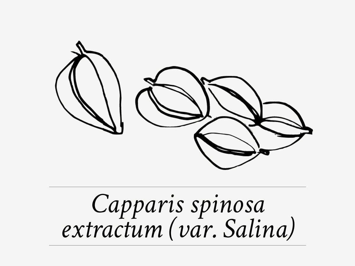 Davines-MINU-ingredient-caper-blossom_1