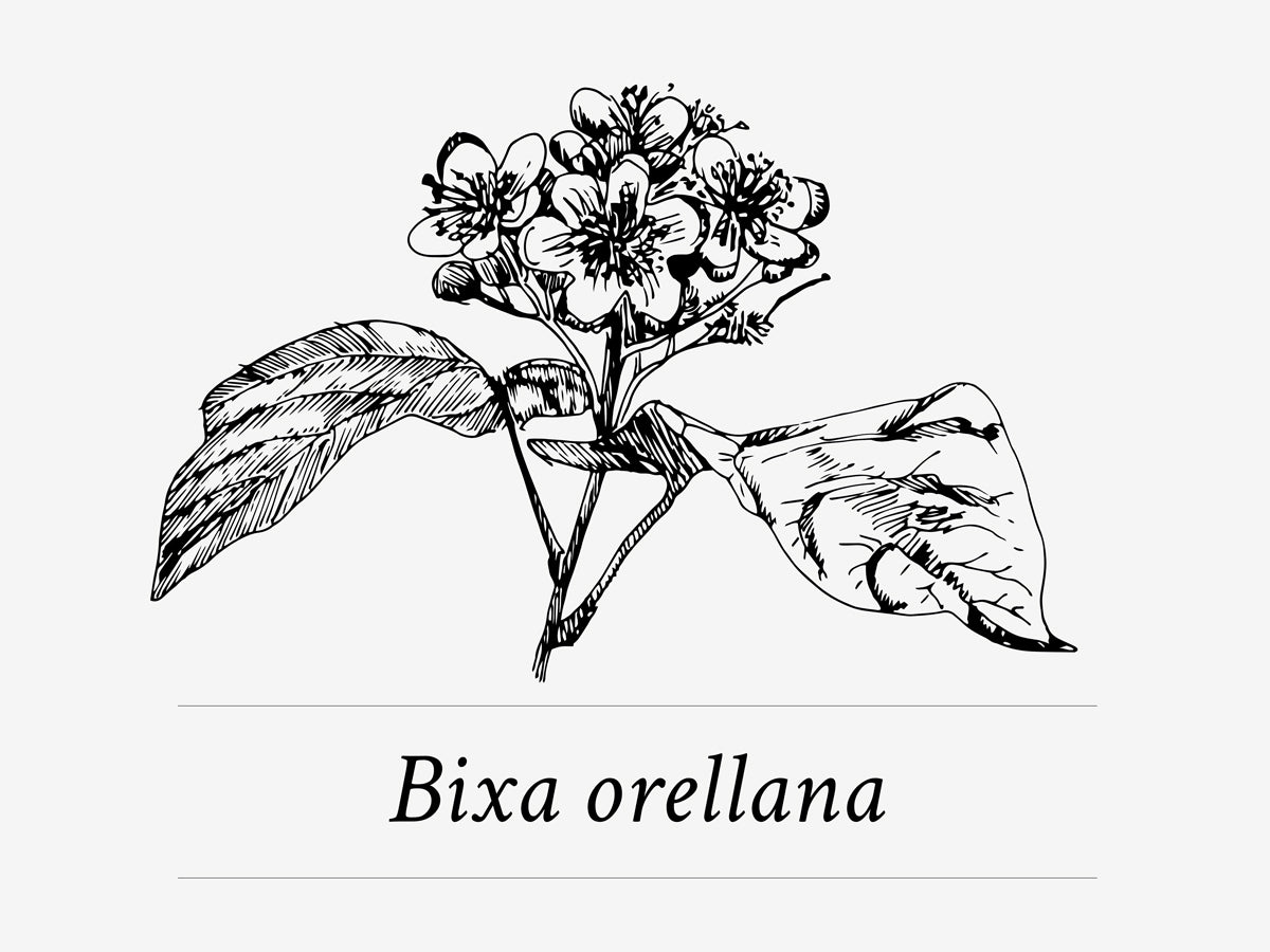 Davines-OI-ingredient-Roucou-oil_3_9400666b-c848-4548-91c0-79ad91a45f50